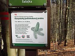 Narodowy rezerwat przyrody Salajka